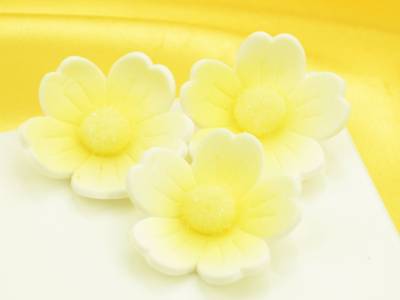 Blumen 40mm weiß-gelb Zucker 6 Stück von Cake-Masters