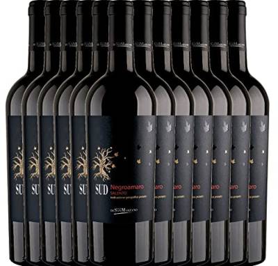 VINELLO 12er Weinpaket Rotwein - SUD Negroamaro 2021 - Cantine San Marzano mit einem VINELLO.weinausgießer | 12 x 0,75 Liter von Cantine San Marzano