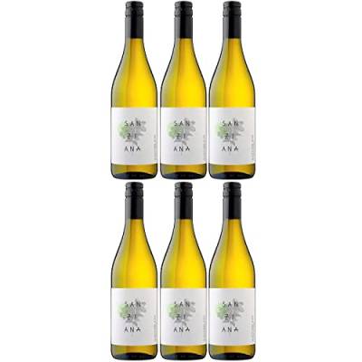 Cramele Recas Sanziana Sauvignon Blanc Weißwein Wein Trocken Rumänien I Visando Paket (6 Flaschen) von Cramele Recas