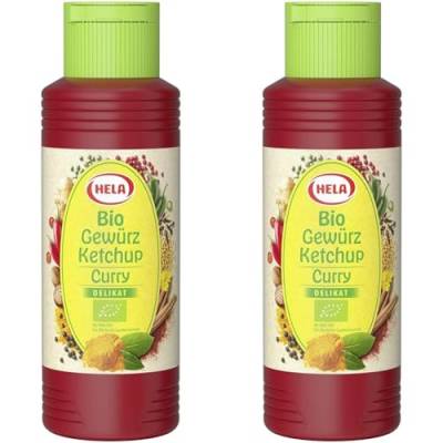 HELA Bio Gewürz Ketchup Curry delikat, 300 ml (Packung mit 2) von HELA