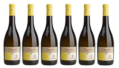 6x 0,75l - I Capitani - Clarum - Falanghina - Irpinia D.O.P. - Kampanien - Italien - Weißwein trocken von I Capitani