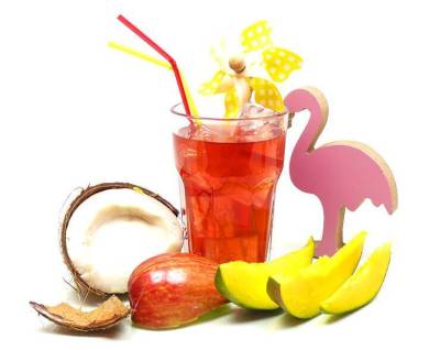 ICE TEA »Pink Bird« Früchte Eistee natürlich