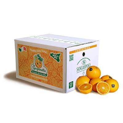 Orangen 100% sizilianisch und 100% biologisch- Maximale Frische und Nachhaltigkeit, Orangen direkt von unseren Bäumen geerntet - 16 kg von SANGASPANO