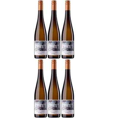 Schwedhelm Riesling Schwarzer Herrgott Große Lage Weißwein Wein trocken Deutschland I Versanel Paket (6 x 0,75l) von Schwedhelm