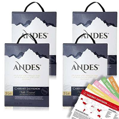 Andes Cabernet Sauvignon, trocken, Bag-in-Box, sortenreines Weinpaket + VINOX Winecards (4x3,0l) von VINOX