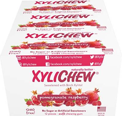 Xylichew 100% xylitol chewing gum gläser - non gmo, gluten, aspartam und zuckerfreier kaugummi -bad atem und mundtrockenheit 12 count (packung 24) granatapfel himbeere von Xylichew