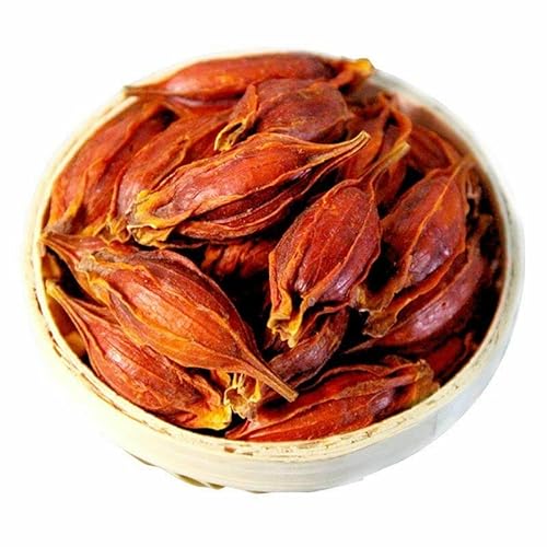 100% natürliche Kap-Jasmin-Frucht Gardenie Zhi Zi chinesische Spezialkräuter-Partikel (500g) von HELLOYOUNG