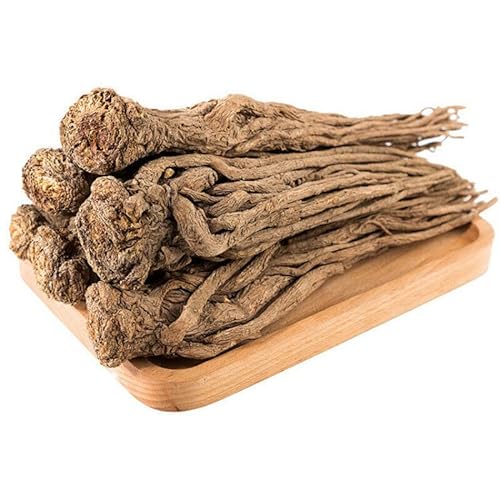 Angelica Whole Root Herbal Tea Danggui 250g-500g Natürliche chinesische Kräutermedizin (500g) von HELLOYOUNG
