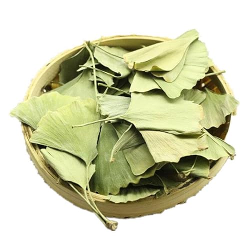 Bio-Ginkgo-Biloba-Blatt-Tee Ginkgo-Tee Grüner Kräutertee China-Spezialitätstee (250g) von 通用