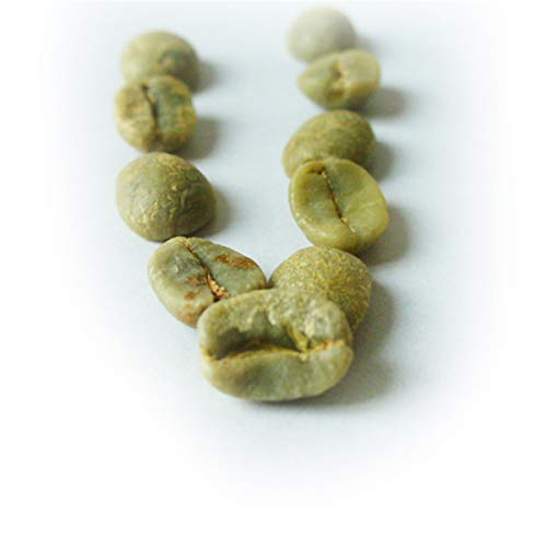 Brasilianische grüne Kaffeebohnen Grüner Schlankheitskaffee Kräutertee Kräutertee Grüner Tee 500g Fatburner Roher Tee Grüner FettabbauteeGesundheitstee Chinesischer Tee von 通用
