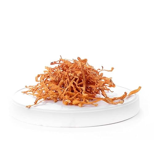 Cordyceps Militaris/Chong Cao Hua 50 g-500 g Bio-Kräuter-Cordyceps-Blüte aus China (100g) von 通用