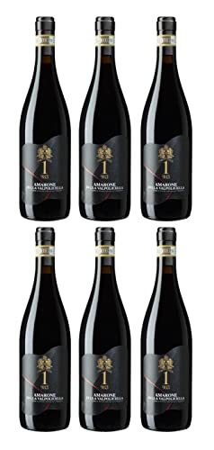 Corte Giara Amarone della Valpolicella D.O.C.G. 2019 | 1-983 ANDRONACO (6 x 0,75 l) von Ubi est concordia, victoria| est 1 983