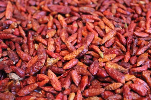 1000Kräuter Chili Chillischoten rot sehr scharf ganz (2000g) von 1000Kräuter