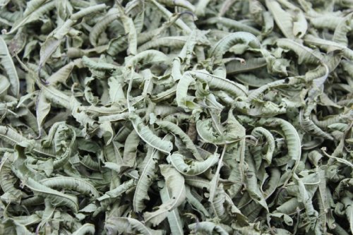 1000Kräuter Eisenkraut geschnitten Eisenkrauttee Verbenenblätter Verbenentee Heilpflanze Kräutertee Verbena officinalis (250g) von 1000Kräuter