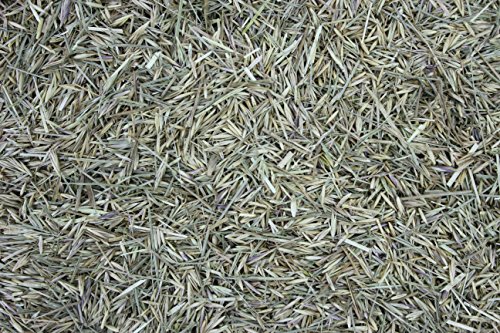 1000Kräuter Heublumen (2000g) von 1000Kräuter