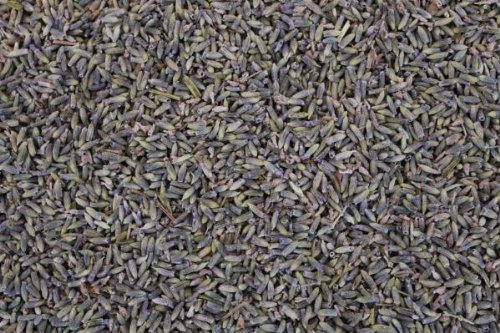 1000Kräuter Lavendelblüten Lavendel blau getrocknet Lavendeltee (100g) von 1000Kräuter