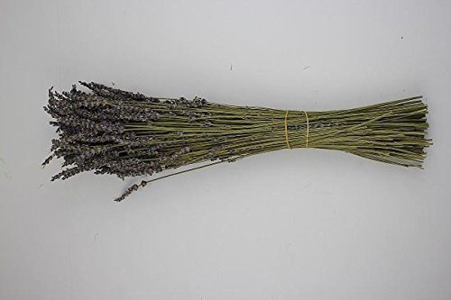 1000Kräuter Lavendelsträußchen (1 Stück) von 1000Kräuter