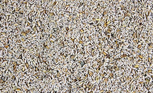 1000Kräuter indischer Flohsamen Samen indisch ganz Plantago ovata (100g) von 1000Kräuter