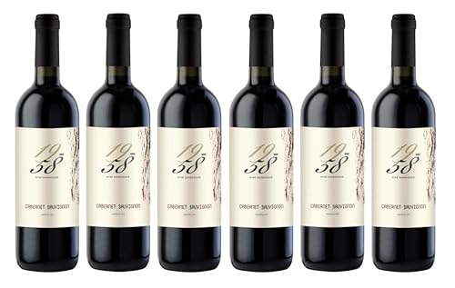 6x 0,75l - 2020er - 1958 Wine Experience - Cabernet Sauvignon - Veneto I.G.P. - Italien - Rotwein trocken von 1958 Wine Experience