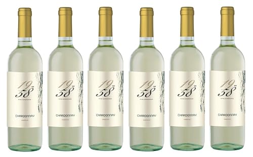 6x 0,75l - 2023er - 1958 Wine Experience - Chardonnay - Veneto I.G.P. - Italien - Weißwein trocken von 1958 Wine Experience