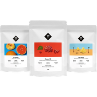 19grams Filterkaffee Probierset Chemex / ohne Geschenkverpackung von 19grams