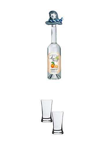 Alpenschnaps Steinbeisser Marille 0,5 Liter + Stölzle Shotglas/Stamper 2 Stück 2050021 von 1a Schiefer