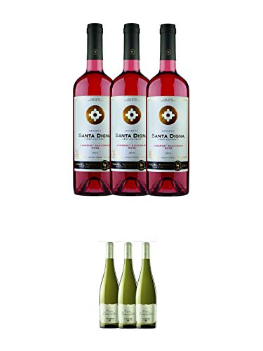 Torres SANTA DIGNA Rose Wein 3 x 0,75 Liter + Torres Miguel Spanien VINA ESMERALDA WEISS Wein 3 x 0,75 Liter von 1a Schiefer