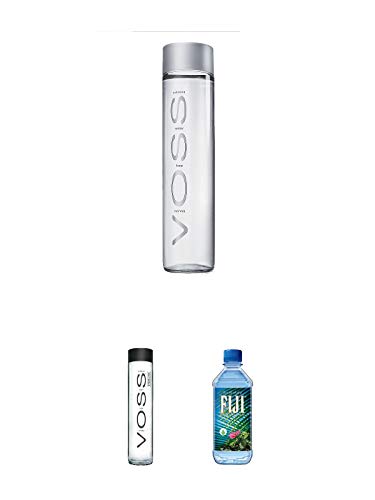 Voss Artesian STILL Gletscher Wasser in Glasflasche 0,8 Liter + Voss Artesian SPARKLING Gletscher Wasser in Glasflasche 0,8 Liter + Fiji Wasser von den Fiji-Inseln 1 x 1,0 Liter von 1a Schiefer