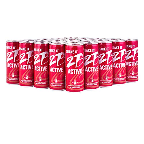 2B ACTIVE - YOUR NATURAL ENERGY DRINK & VITAL LOW CARB FITNESS POWER BOOSTER - hoher Fruchtanteil, ohne Zuckerzusatz! 24er VITAMIN Pack (24 Getränke Dosen à 250 ml) von 2B