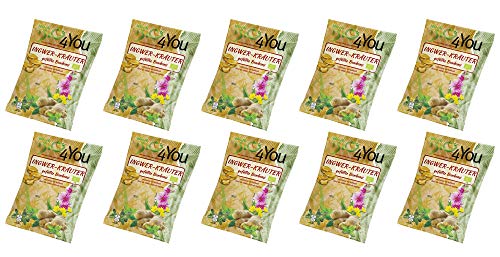 Liebhart Bio-Bonbons 4You Ingwer-Kräuter "gefüllt" 10x75g von 4You