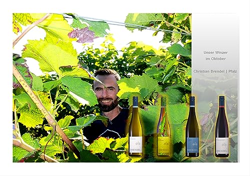 Weinprobe Brendel | Pfalz | Weinbox | Winzerbox | virtuelle Weinprobe | Weißwein | Rotwein von 4finest