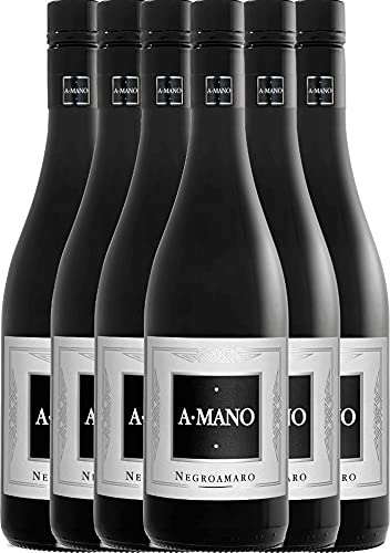 VINELLO 6er Weinpaket Rotwein - Negroamaro 2019 - A Mano mit einem VINELLO.weinausgießer | 6 x 0,75 Liter von A Mano
