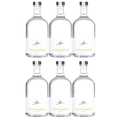 A. Diehl Aprikosenbrand 0,5L Flasche deutscher Obstbrand Deutschland I Versanel Paket (6 x 0,5l) von A. Diehl