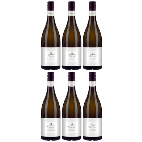 A. Diehl Superior Grauer Burgunder Weißwein veganer Wein trocken QbA (6 Flaschen) von A. Diehl