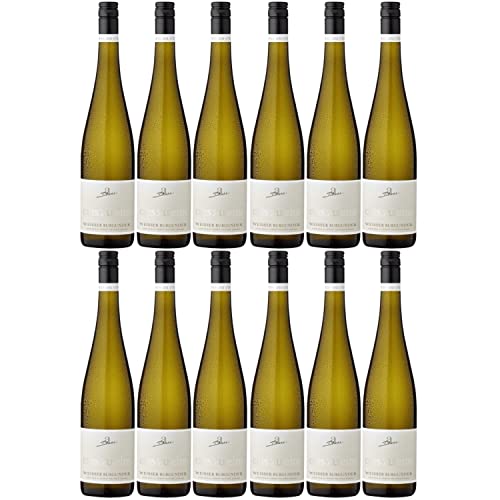 A. Diehl Weißer Burgunder eins zu eins Kabinett Weißwein Wein trocken I Versanel Paket (12 x 0,75l) von A. Diehl
