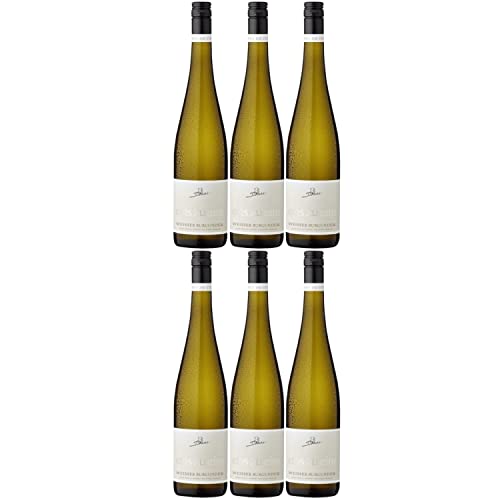 A. Diehl Weißer Burgunder eins zu eins Kabinett Weißwein Wein trocken I Versanel Paket (6 x 0,75l) von A. Diehl
