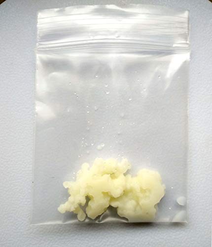 A Kefirpilze für leckeren Milchkefir, kleine Knollen - Kefir-Pulver A Kefirpilze für leckeren Milchkefir, kleine Knollen - Kefir-Pulver von A