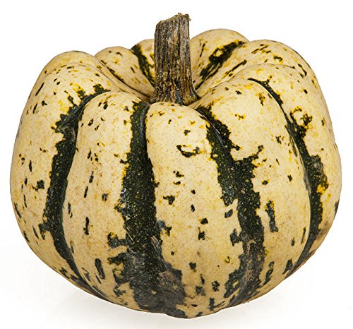 AGROBITS 25 SWE PLING SQUASH Delita Cucurbita Vegable a * Comb S / H AGROBITS 25 SWE PLING SQUASH Delita Cucurbita Vegable a * Comb S / H von AGROBITS