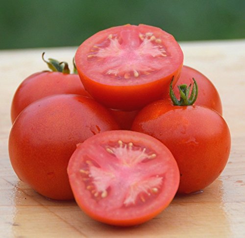 AGROBITS Cyril Cho Tomato See- Organischer Rare Erbstück Variy- 30 + 2018 See AGROBITS Cyril Cho Tomato See- Organischer Rare Erbstück Variy- 30 + 2018 See von AGROBITS
