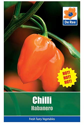 AGROBITS De Ree CLLI Hanero - VegablePack von 8 AGROBITS De Ree CLLI Hanero - VegablePack von 8 von AGROBITS