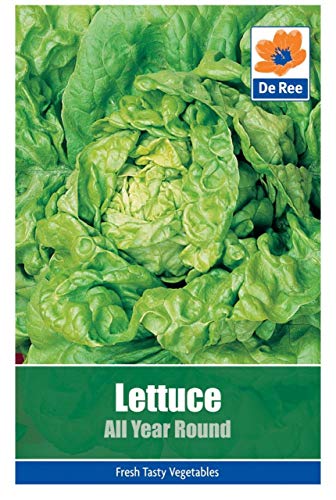 AGROBITS De Ree das ganze Jahr - VegablePack von 1440 AGROBITS De Ree das ganze Jahr - VegablePack von 1440 von AGROBITS