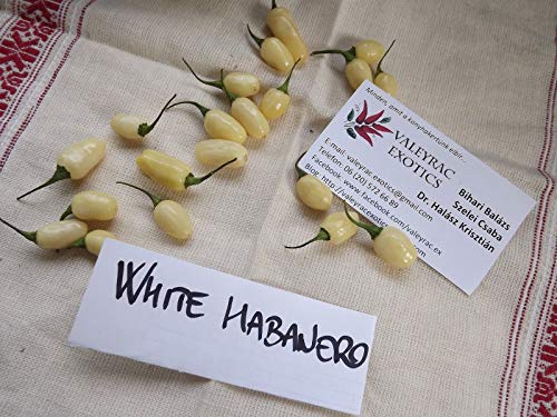 AGROBITS Hanero Cli 10+ sehen AGROBITS Hanero Cli 10+ sehen von AGROBITS