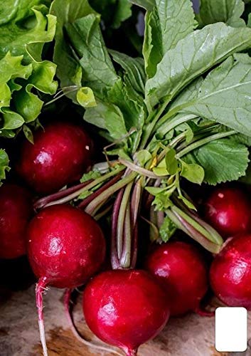 AGROBITS RMEN organicnon-GMO Ukraine 2 g AGROBITS RMEN organicnon-GMO Ukraine 2 g von AGROBITS