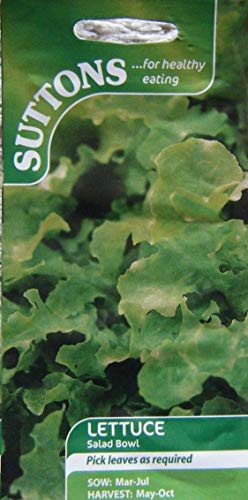 AGROBITS SEE SUTTONS SALATSchüssel von 6/2018 RRP £ 1.99 AGROBITS SEE SUTTONS SALATSchüssel von 6/2018 RRP £ 1.99 von AGROBITS
