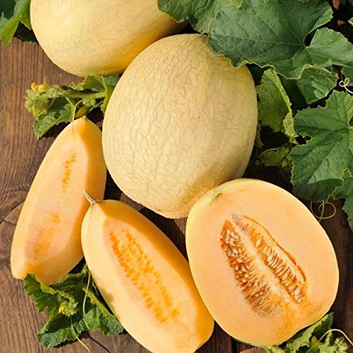 AGROBITS n - Emir - 20 Siehe AGROBITS n - Emir - 20 Siehe von AGROBITS
