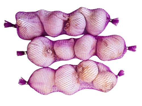 Hochwertiger Violetter Knoblauch aus Spanien | Knoblauch 250gr | Spanischer Pflanzknoblauch | Hochwertige Knoblauchsorte von AJO NEGRO DE MOUSE HILL
