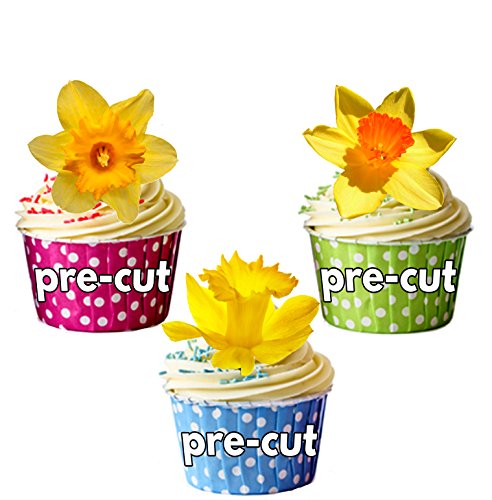 Cupcake-Dekoration, vorgeschnitten, essbar, Narzissen, Frühling/Ostern (12 Stück) von AK Giftshop