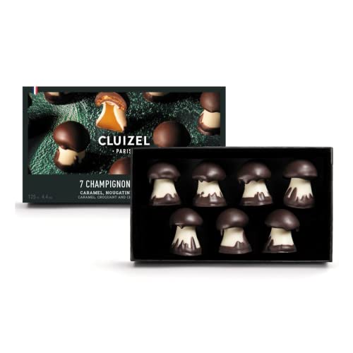 Michel Cluizel | Geschenkbox 7 dekorierte Pralinen | Dunkle Schokolade, Karamell und Crunchy | Gefüllte Pilzpralinen - 125 Gr von ANTICO CAFFE' NOVECENTO