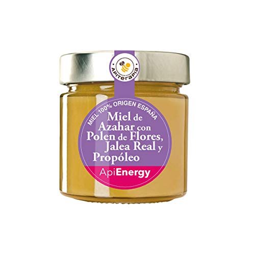 Apiterapia - ApiEnergy Honig - Cremiger Honig aus Orangenblüten mit Blütenpollen, Gelée Royal und Propolis - Herkunft Spanien - 300 g von Apiterapia