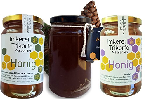 ARISTOS Honig Set | 4 Gläser griechischer Honig | Pinien Honig | Thymianhonig | Zitrusblüten Honig | Gemischter Honig | Honig Geschenkset | Zusammen 1830 g von ARISTOS